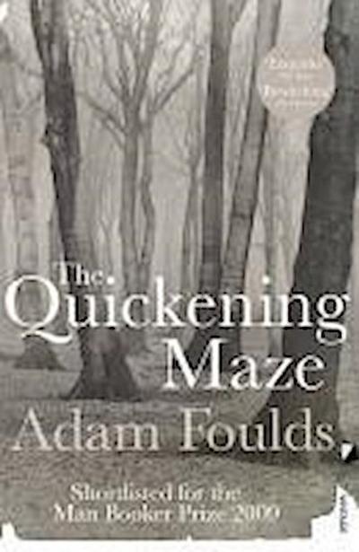 The Quickening Maze