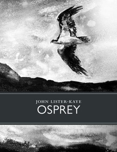 Osprey