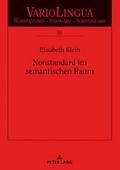 Nonstandard im semantischen Raum