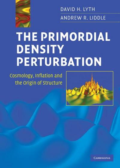 The Primordial Density Perturbation