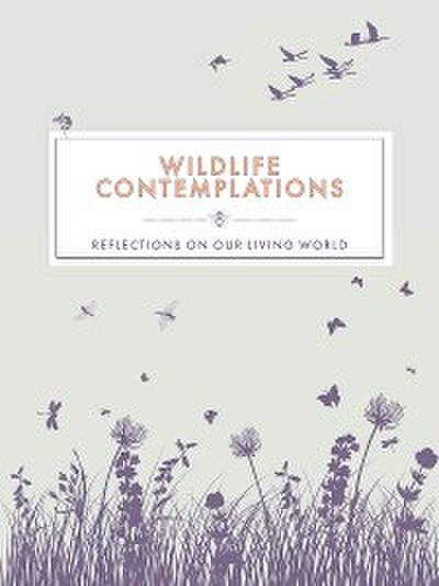 Wildlife Contemplations