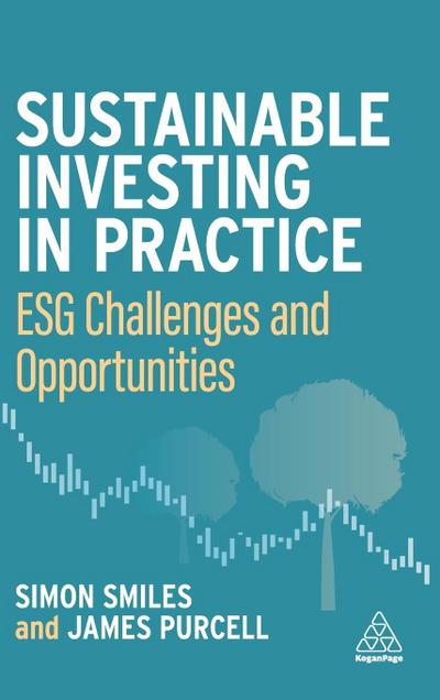 Sustainable Investing in Practice