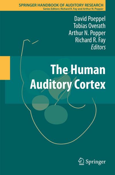 The Human Auditory Cortex