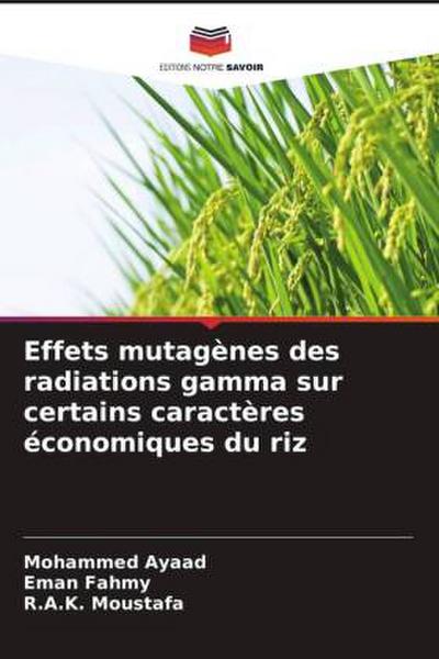 Effets mutagènes des radiations gamma sur certains caractères économiques du riz