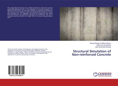 Structural Simulation of Non-reinforced Concrete