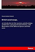 British social wasps