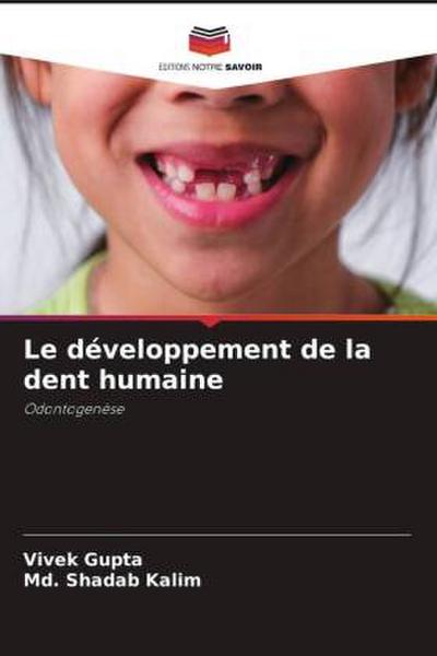 Le développement de la dent humaine
