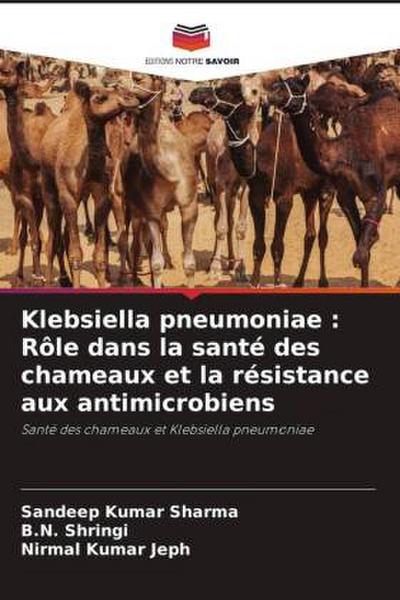 Klebsiella pneumoniae : Rôle dans la santé des chameaux et la résistance aux antimicrobiens