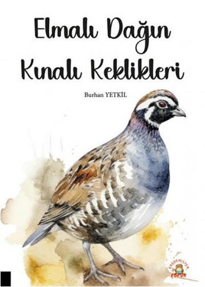 Elmali Dagin Kinali Keklikleri