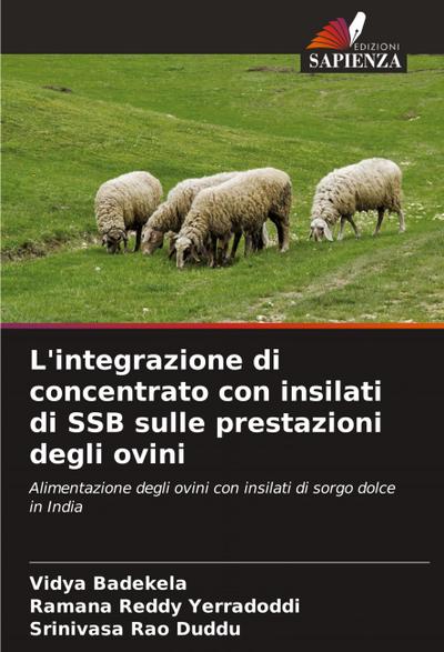 L’integrazione di concentrato con insilati di SSB sulle prestazioni degli ovini