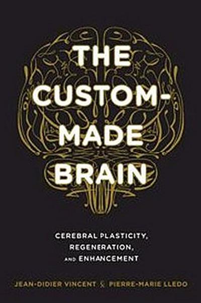 The Custom-Made Brain