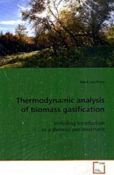 Thermodynamic analysis of biomass gasification