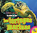 Las tortugas marinas