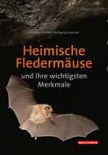 Heimische Fledermäuse und ihre wichtigsten Merkmale