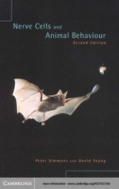 Nerve Cells and Animal Behaviour