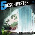 5 Geschwister 46 - Die verborgene Grotte