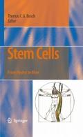 Stem Cells