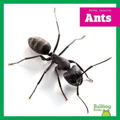 Ants