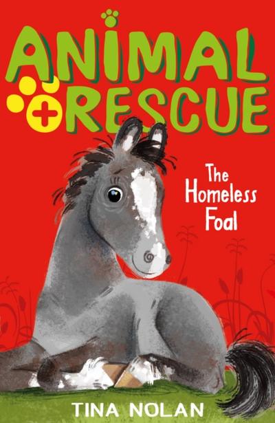 The Homeless Foal