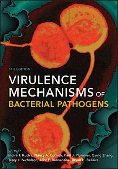 Virulence Mechanisms of Bacterial Pathogens