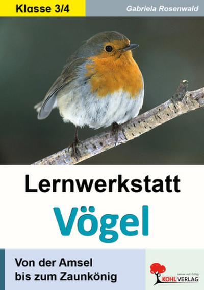 Lernwerkstatt Vögel Von der Amsel bis zum Zaunkönig