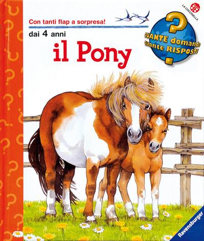 Il pony