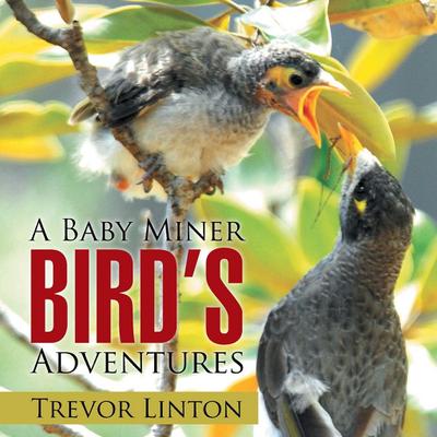 A Baby Miner Bird’s Adventures