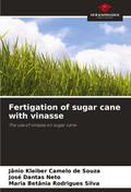 Fertigation of sugar cane with vinasse