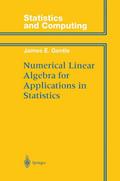 Numerical Linear Algebra for Applications in Stati