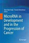 MicroRNA in Development and in the Progression of 