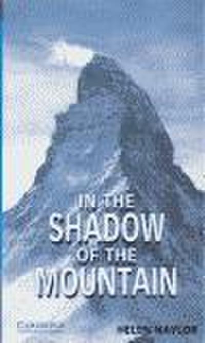 In the Shadow of the Mountain Level 5