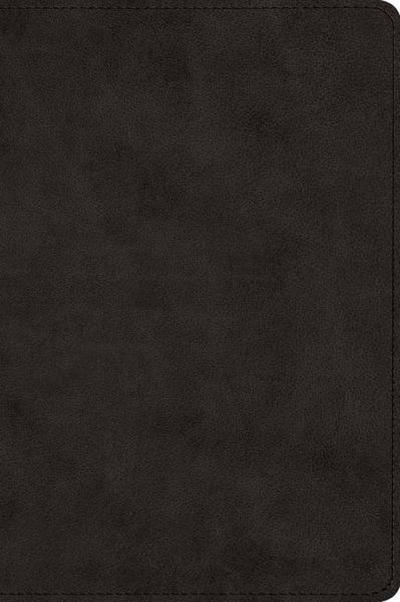 ESV Wide Margin Reference Bible (Trutone, Black)