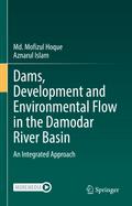 Dams, Development and Environmental Flow in the Damodar River Basin