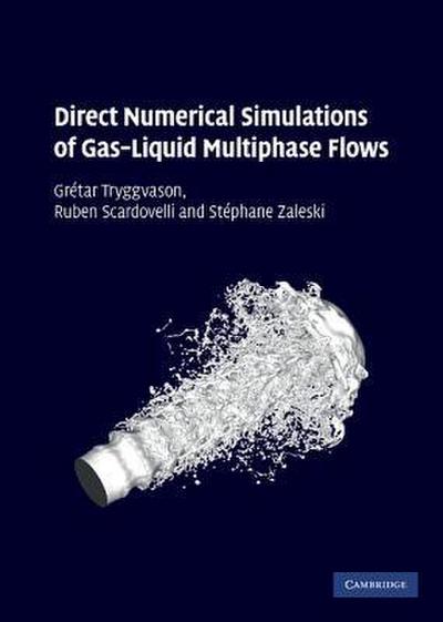Direct Numerical Simulations of Gas-Liquid Multiphase             Flows