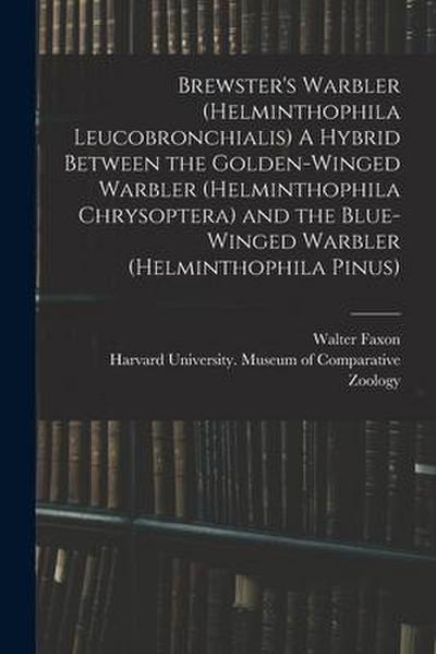 Brewster’s Warbler (Helminthophila Leucobronchialis) A Hybrid Between the Golden-winged Warbler (Helminthophila Chrysoptera) and the Blue-winged Warbl