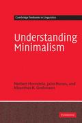 Understanding Minimalism
