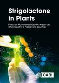 Strigolactone in Plants