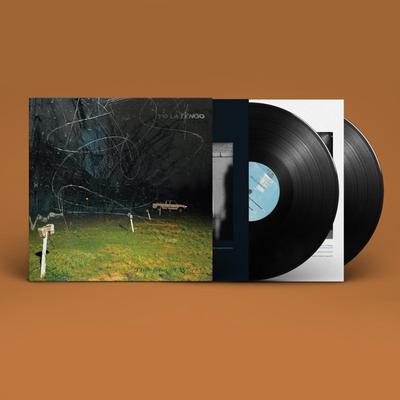 This Stupid World (Vinyl)