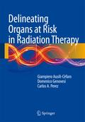 Delineating Organs at Risk in Radiation Therapy