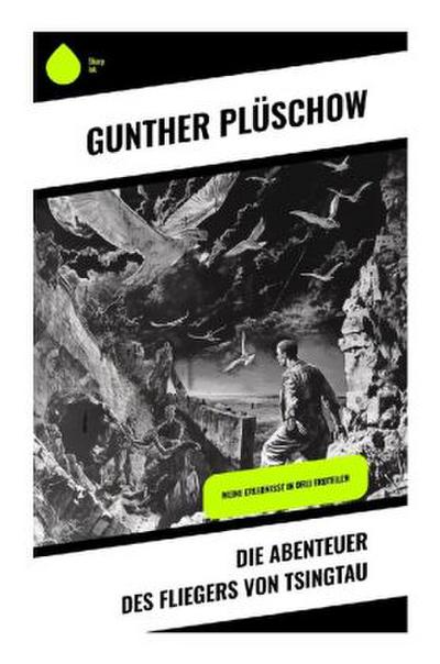Die Abenteuer des Fliegers von Tsingtau