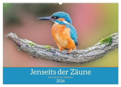 Jenseits der Zäune (Wandkalender 2026 DIN A2 quer), CALVENDO Monatskalender
