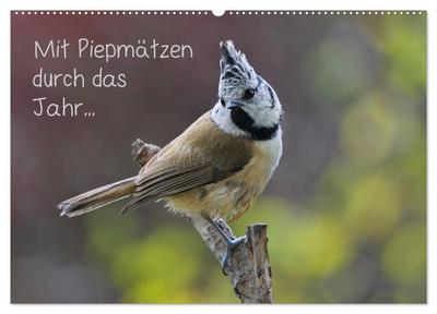 Mit Piepmätzen durch das Jahr ... (Wandkalender 2025 DIN A2 quer), CALVENDO Monatskalender