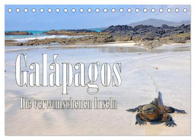 Galápagos - Die verwunschenen Inseln (Tischkalender 2026 DIN A5 quer), CALVENDO Monatskalender