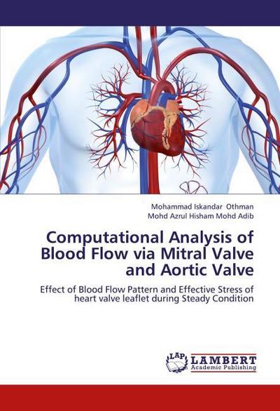 Computational Analysis of Blood Flow via Mitral Valve and Aortic Valve