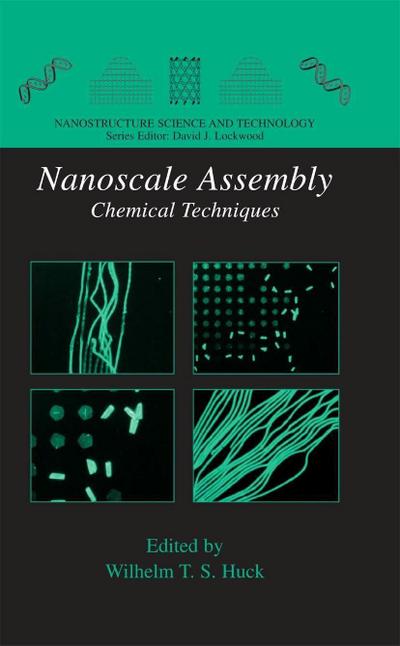 Nanoscale Assembly