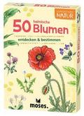50 heimische Blumen entdecken & bestimmen