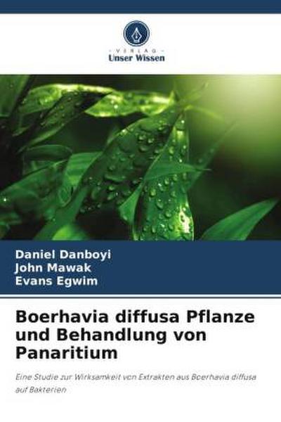 Boerhavia diffusa Pflanze und Behandlung von Panaritium