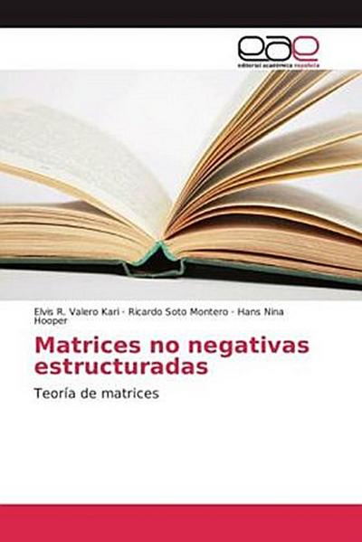 Matrices no negativas estructuradas