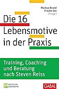 Die 16 Lebensmotive in der Praxis