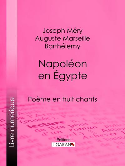 Napoléon en Égypte
